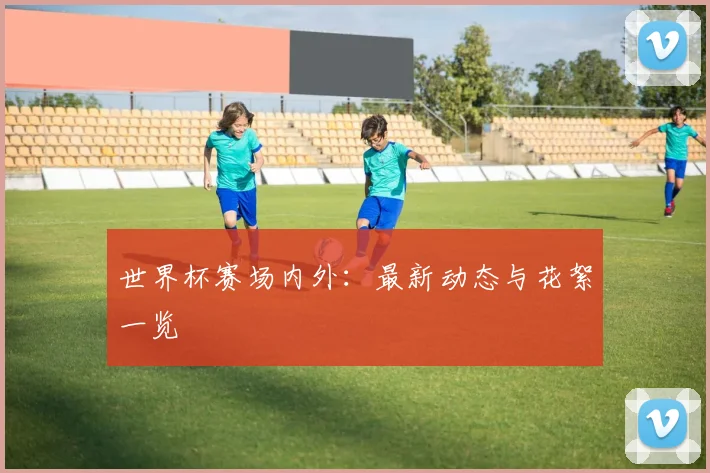 世界杯赛场内外：最新动态与花絮一览
