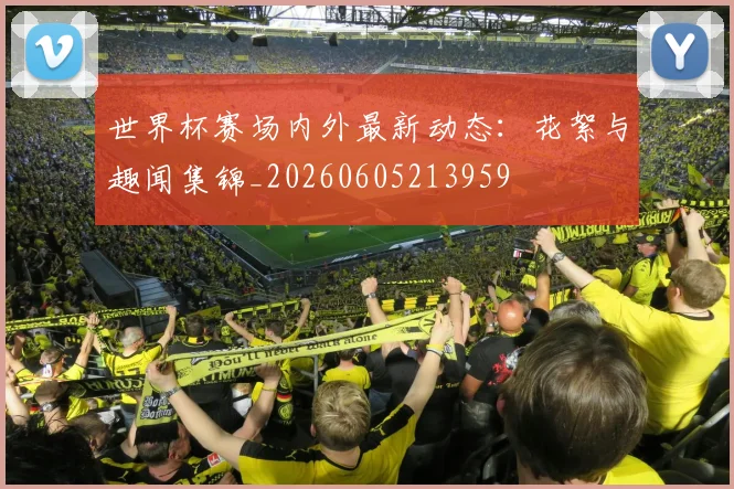 世界杯赛场内外最新动态:花絮与趣闻集锦_20260605213959
