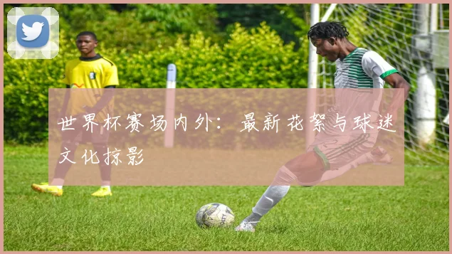 世界杯赛场内外:最新花絮与球迷文化掠影